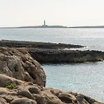 فيلة Gaudina *